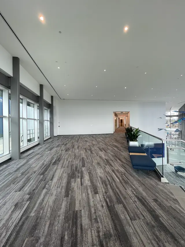 Carpets and floors